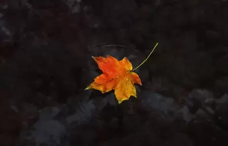 水浒传人物小传200字-文小优