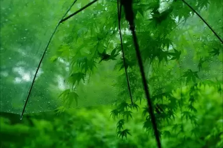 五年级话题作文400字-文小优