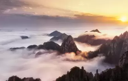 请为我喝彩-文小优